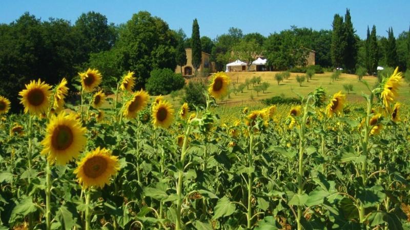 Agriturismo Natura E Salute San Gimignano Eksteriør bilde
